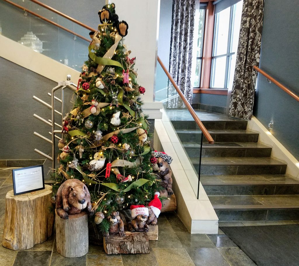 Parks Canada Christmas Tree Wins the Sutton Place Tree Pageant For Second Consecutive Year